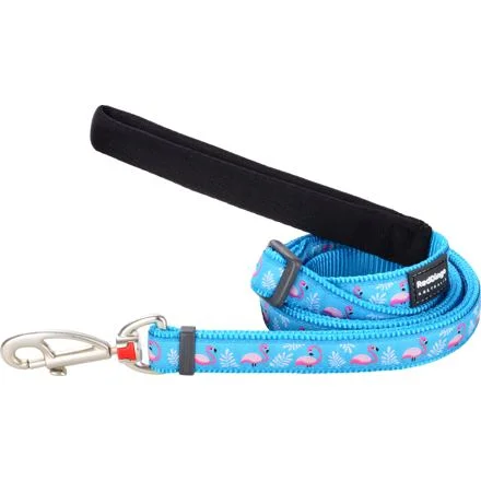 Vodítko RD 25 mm x 1,8 m - Flamingo Turquoise