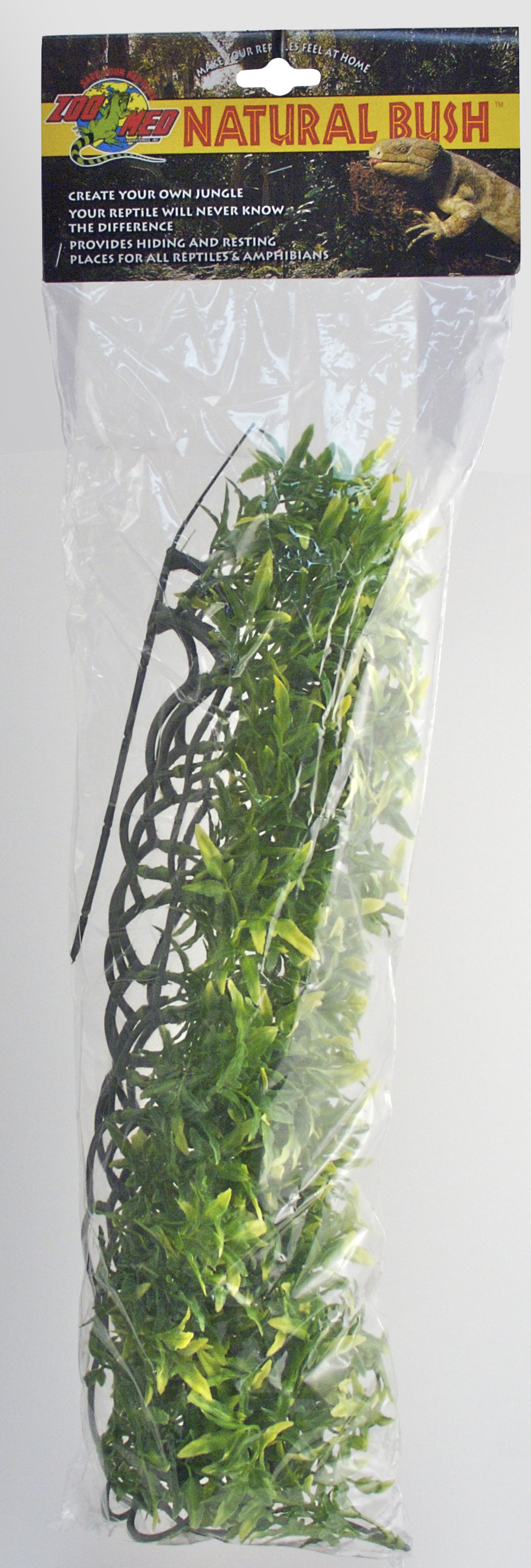 ZOOMED Rost.ter.ZMD Bolivian Croton L