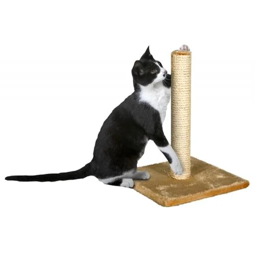 Škrabadlo Bella Karlie 29 x 29 x 39 cm béžové