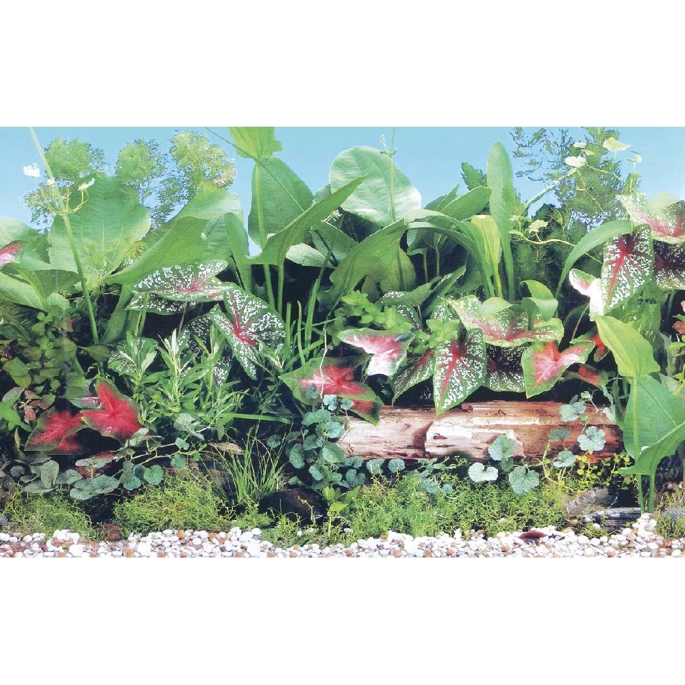 Akvaristika - pozadí do akvária PEARL WATER, vel. XL