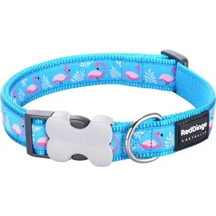 Obojek RD 20 mm x 30-47 cm - Flamingo Turquoise