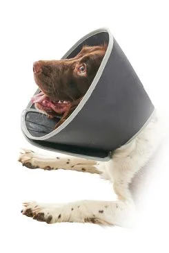 KRUUSE Límec ochranný BUSTER pěnový Foam Collar 30cm 1ks