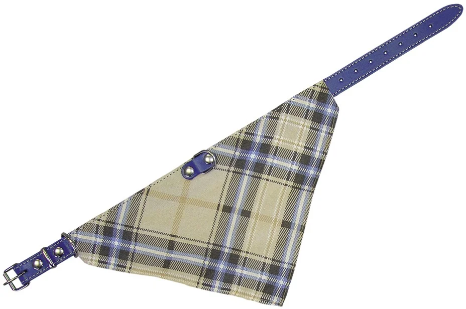 Nobby kožený obojek se šátkem 35cm modrá