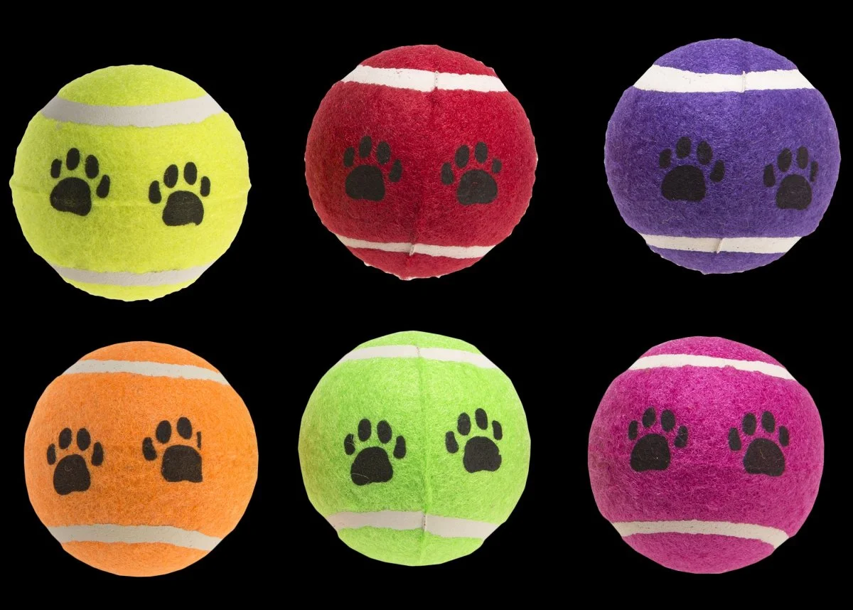 GIMBORN IT Hr.GIMB tenis.mic multipack 6ks