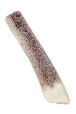 ZOLUX Jelení paroží opracované puppy pro štěňata 1 ks