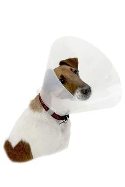 KRUUSE Límec ochranný BUSTER plastový Clic Collar 20cm