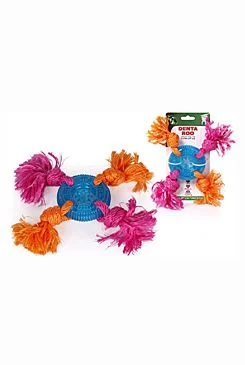 Denta Roo Disk se 4 uzly 24cm/8cm 1 ks