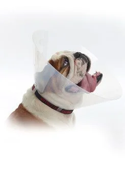 Kruuse Límec Buster pro brachycefalická plemena M