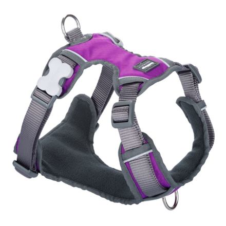 Postroj RD polstrovaný XS - 31-43 cm - Fialová