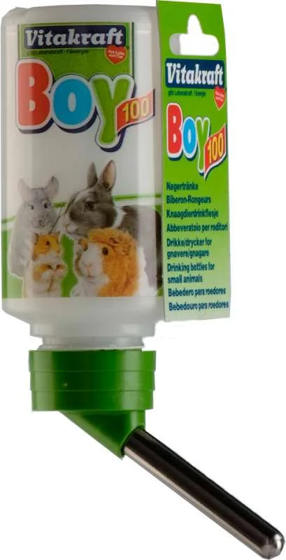 Drink Bottle BOY 250ml