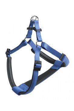 Postroj DAYTONA P M modrý FP 1ks