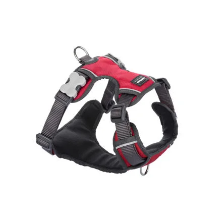 Postroj RD polstrovaný S - 37-52 cm - Červená