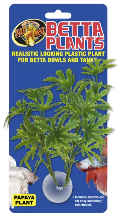 ZOOMED Rostl.akv.ZMD Betta Plant Papaya