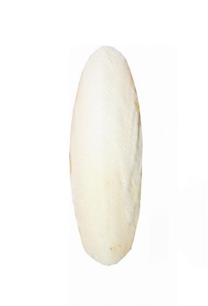 Fine Pet Sépiová kost broušená 15cm (+/- 3cm) 15ks/bal