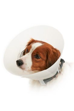 KRUUSE Límec ochranný BUSTER opaktní Classic Collar 10cm