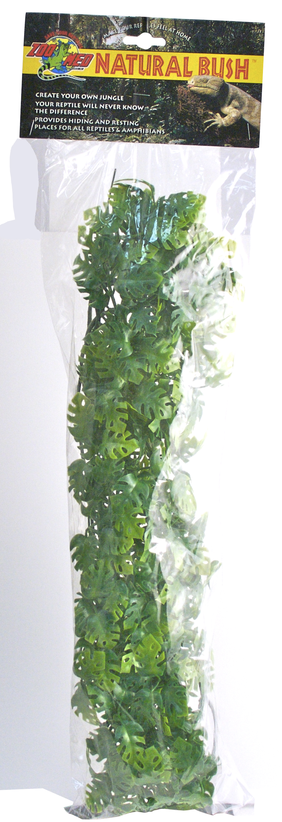 ZOOMED Rost.ter.ZMD Amazonian Phyllo L