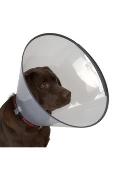 KRUUSE Límec ochranný BUSTER plastový Comfort Collar 25 cm
