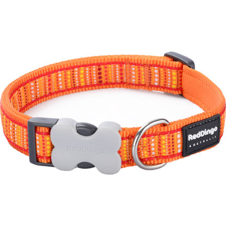 Obojek RD 15 mm x 24-37 cm - Lotzadotz Orange