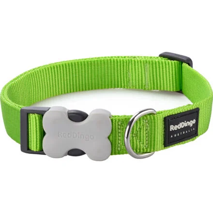 Obojek RD 25 mm x 41-63 cm - Jednobar.- Limetková