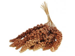APETIT Apetit Senegálské proso v klasech-červené 100g