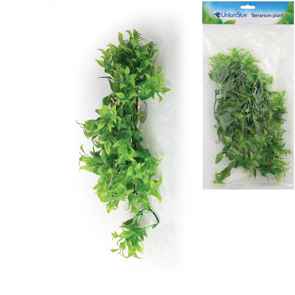 UnionStar Terarijní rostlina UH, vel. L