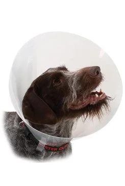 KRUUSE Límec ochranný BUSTER plastový Classic Collar 35cm