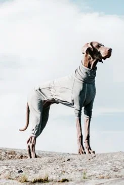 Obleček Hurtta Body Warmer šedý 30L