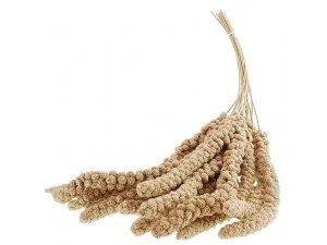 APETIT Apetit Senegálské proso v klasech-žluté 100g