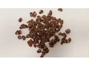 SALAČ SUŠENÉ MASO MLSKY - hovězí s treskou 100g