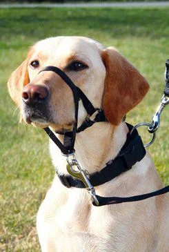 TOP TRAINER výcviková ohlávka TRIXIE L 37 cm