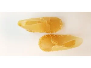 SALAČ, THAJSKO Přírodní botička 12-13cm (25/100)