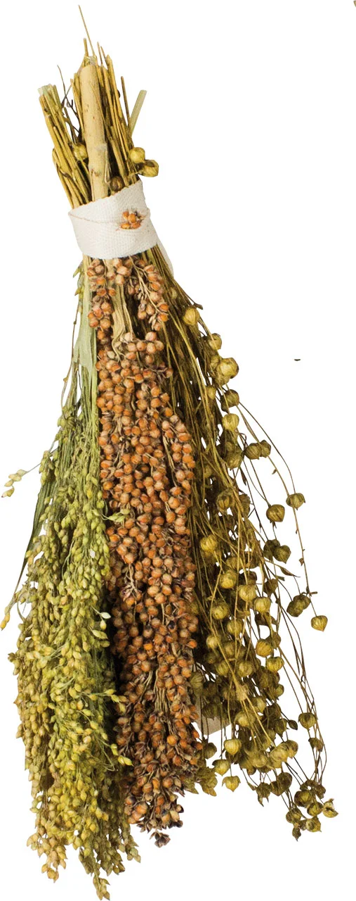 JR Birds Mix přírodních klásků - Pick and Fly 130 g