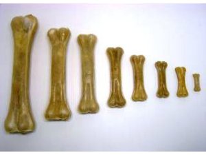 SALAČ, THAJSKO Přírodní kost 16-17cm (10/200)