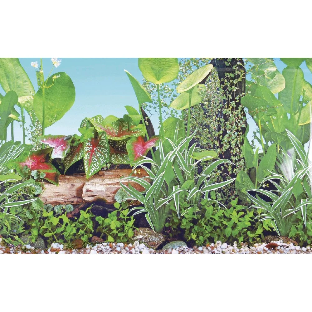 Akvaristika - pozadí do akvária GRASSY, vel. XL