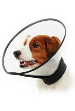 KRUUSE Límec ochranný BUSTER plast. Complete Collar sada 7ks