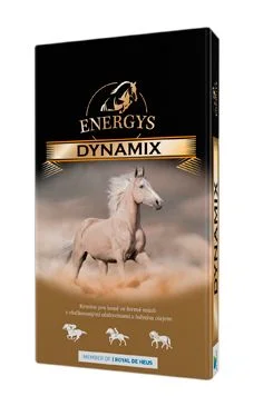 Krmivo pro koně Müsli Besterly Dyna Mix 20 kg