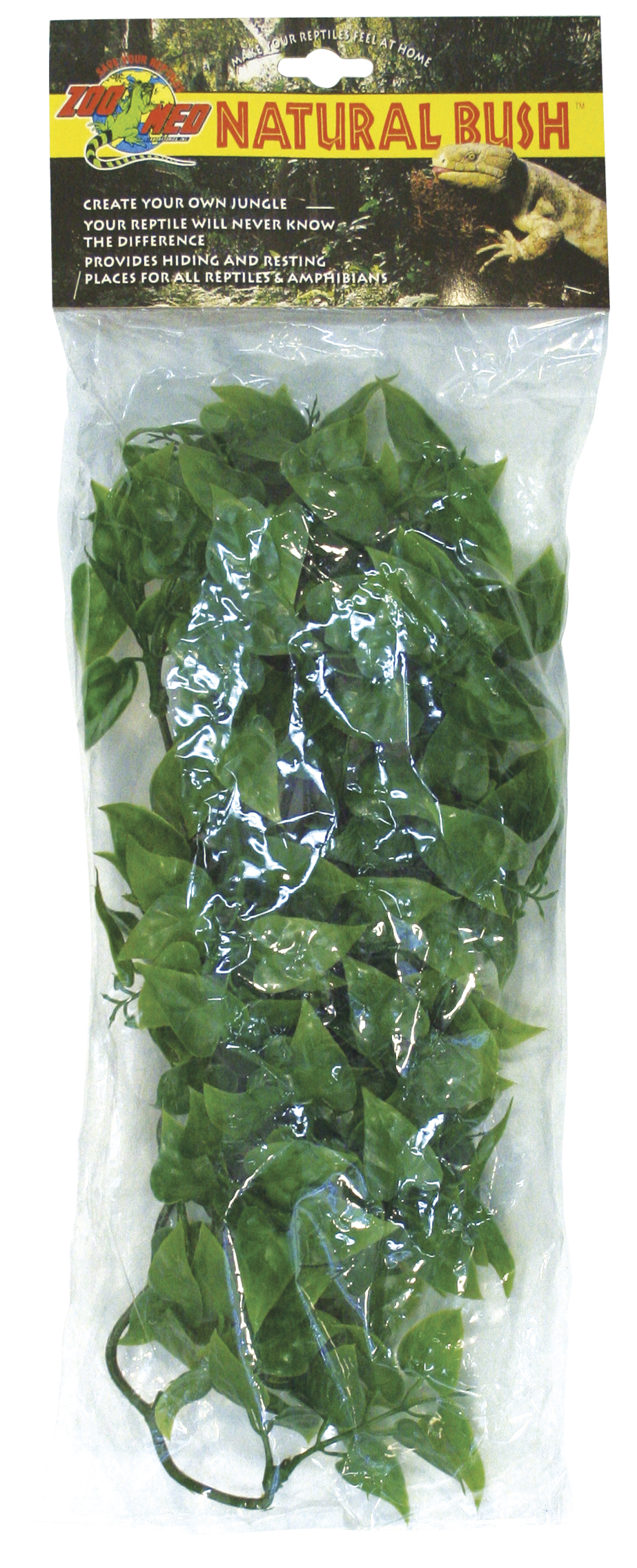 ZOOMED Rost.ter.ZMD Mexican Phyllo M