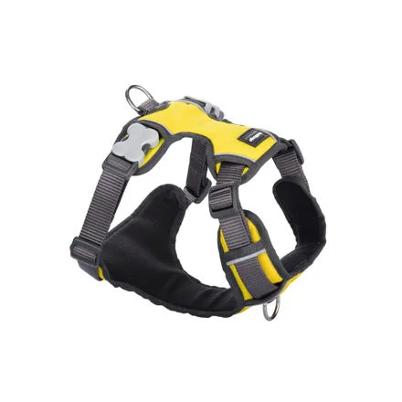 Postroj RD polstrovaný XS - 31-43 cm - Žlutá