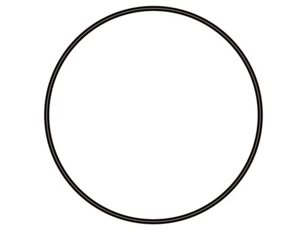 sera GmbH sera O kroužek 79mm