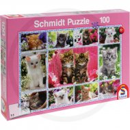Schmidt Puzzle Koťata, 100 dílků
