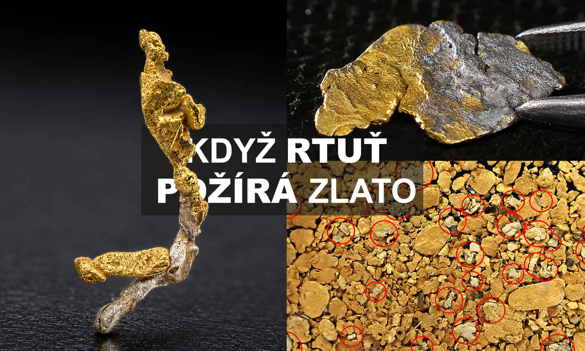 amalgám když rtuť požírá zlato