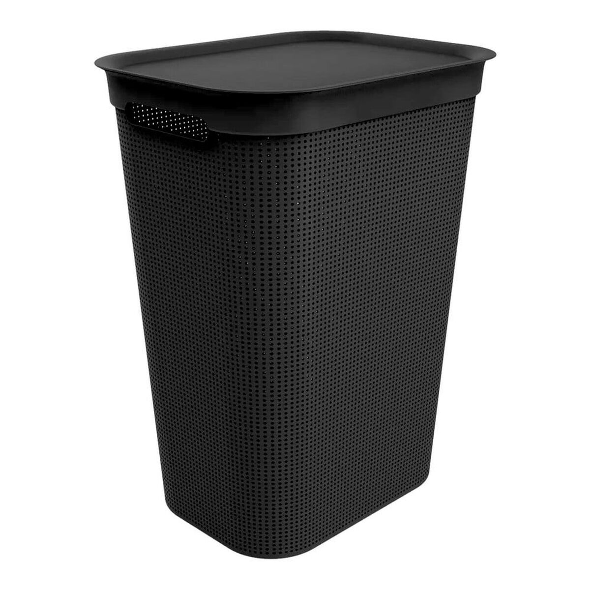 rotho ROTHO Brisen - kôš na bielizeň - 50l