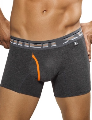 Boxeri Xtremen Boxer open Fly gri, 1 perechi, mărimea L Boxeri Xtremen Boxer open Fly gri, 1 perechi, mărimea L