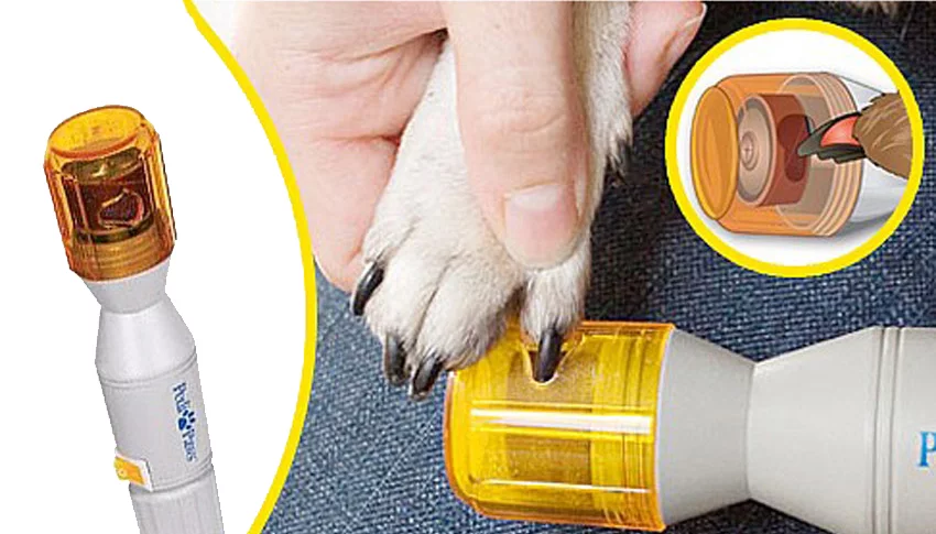 InnovaGoods Brousek na úpravu psích drápků