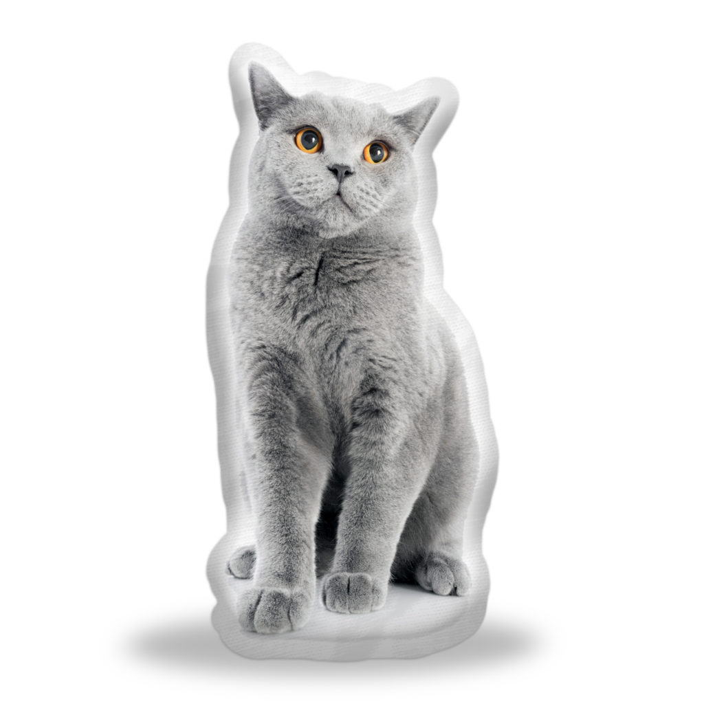 Sablio 3D polštář ve tvaru Britská kočka
