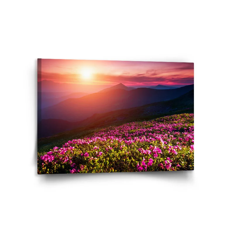 Sablio Obraz Rozkvetlá příroda - 120x80 cm