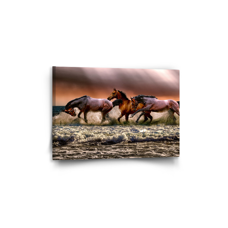 Sablio Obraz Koně ve vodě - 60x40 cm