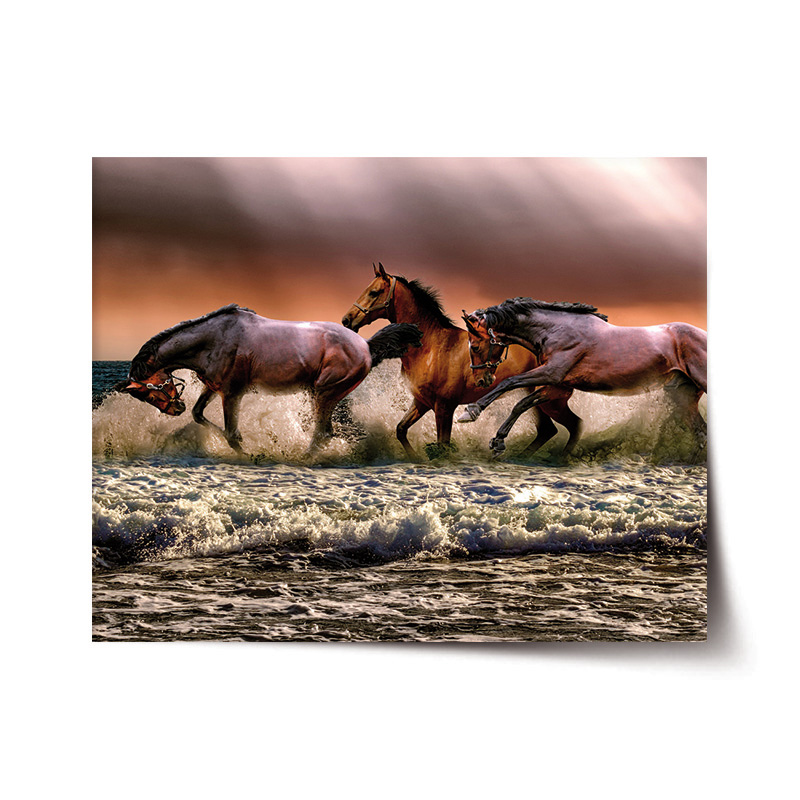 Sablio Plakát Koně ve vodě - 60x40 cm