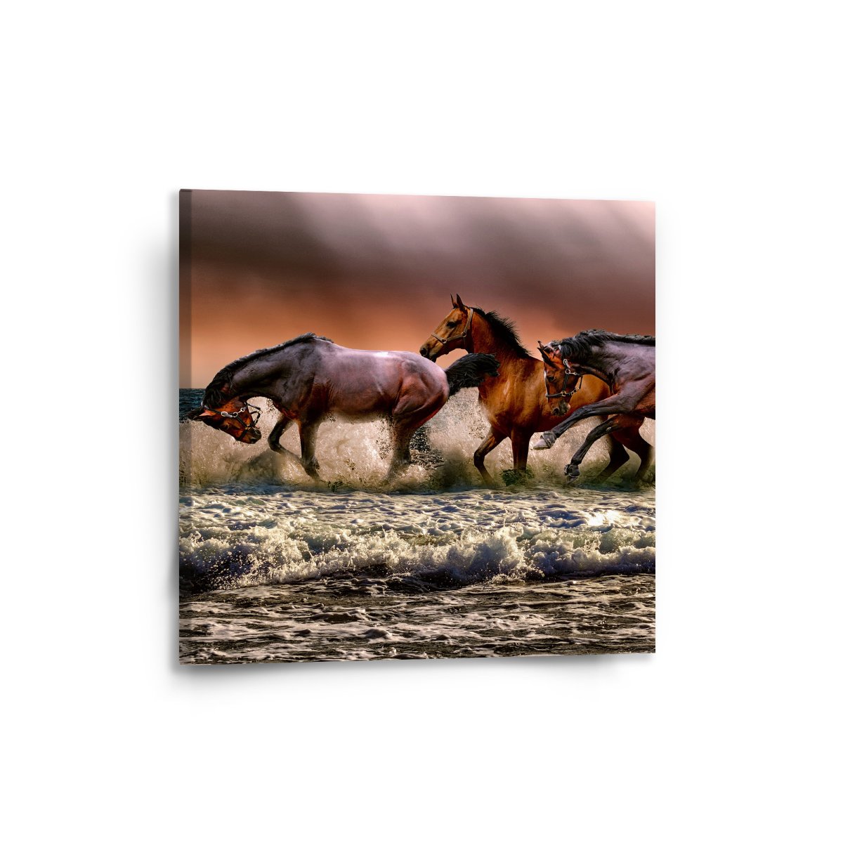 Sablio Obraz Koně ve vodě - 50x50 cm