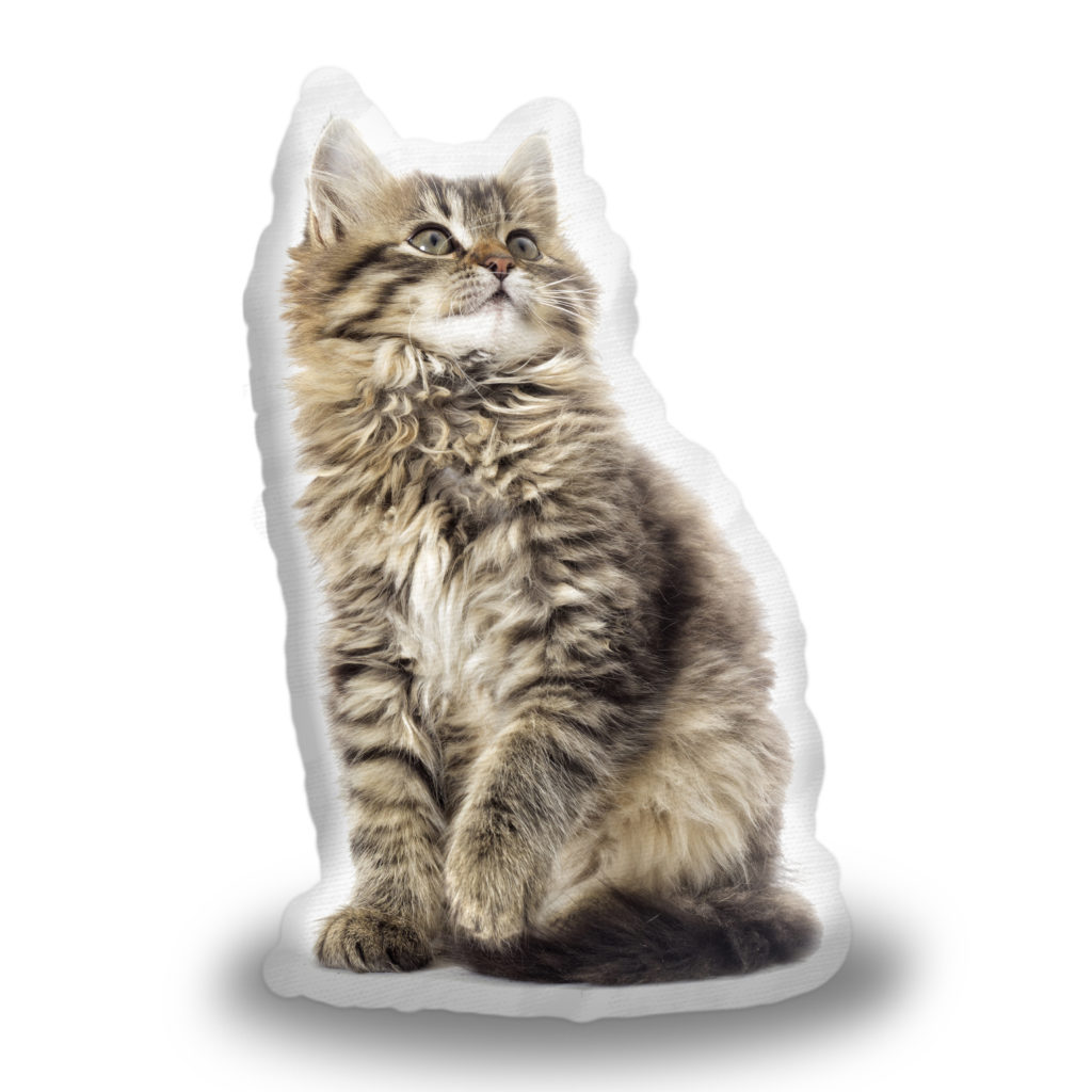Sablio 3D polštář ve tvaru Chlupatá kočička